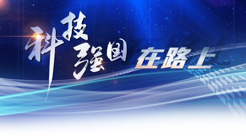 电商平台定制开发外包，如何精准预算？**