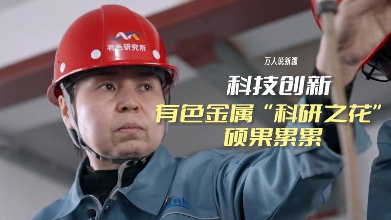 数据服务公司规模评估：关键指标与考量维度